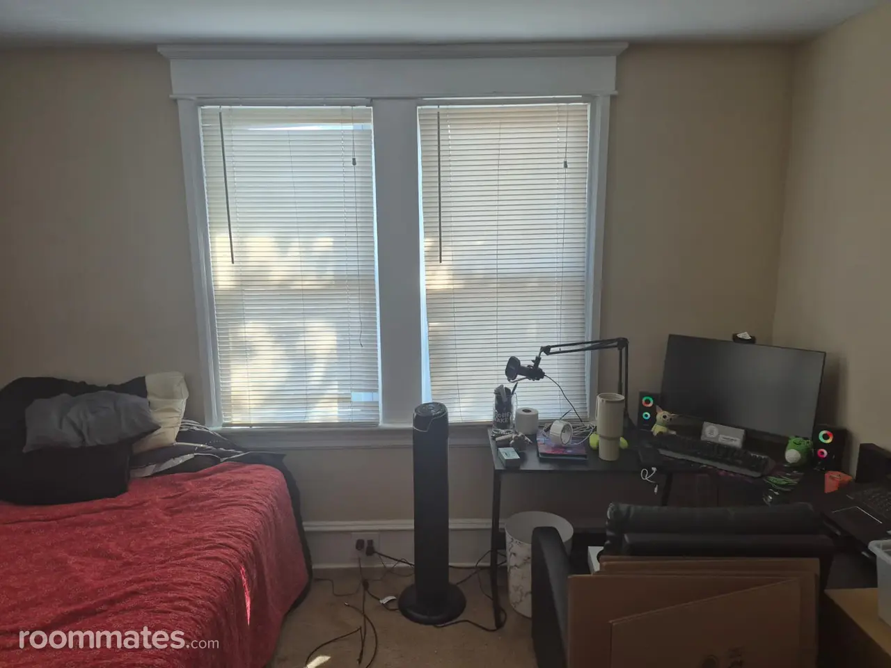 Profile photo 10 of 11