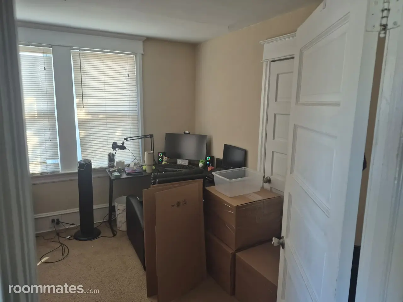 Profile photo 4 of 11