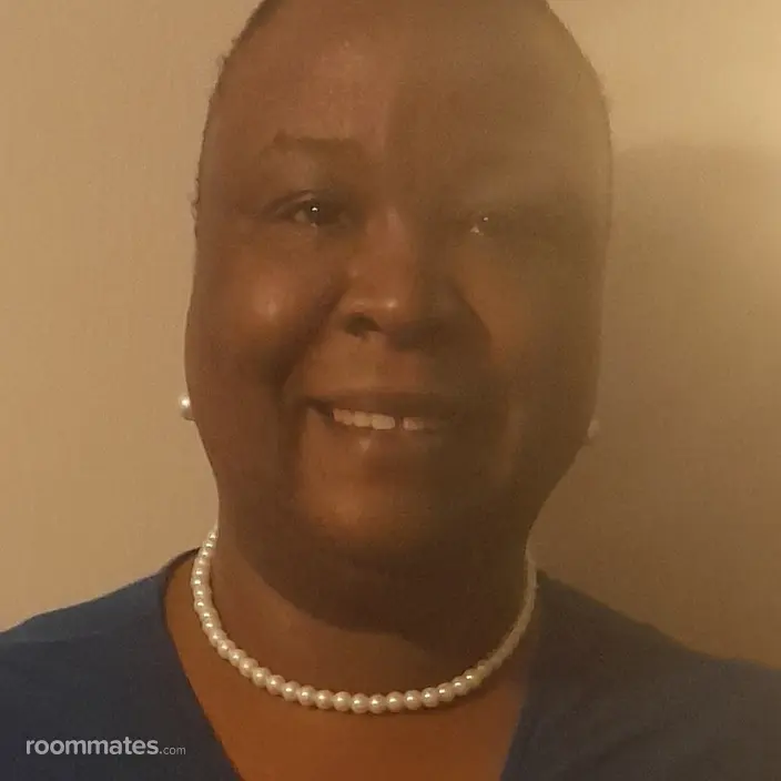 Roommate looking Birmingham, AL, $1000