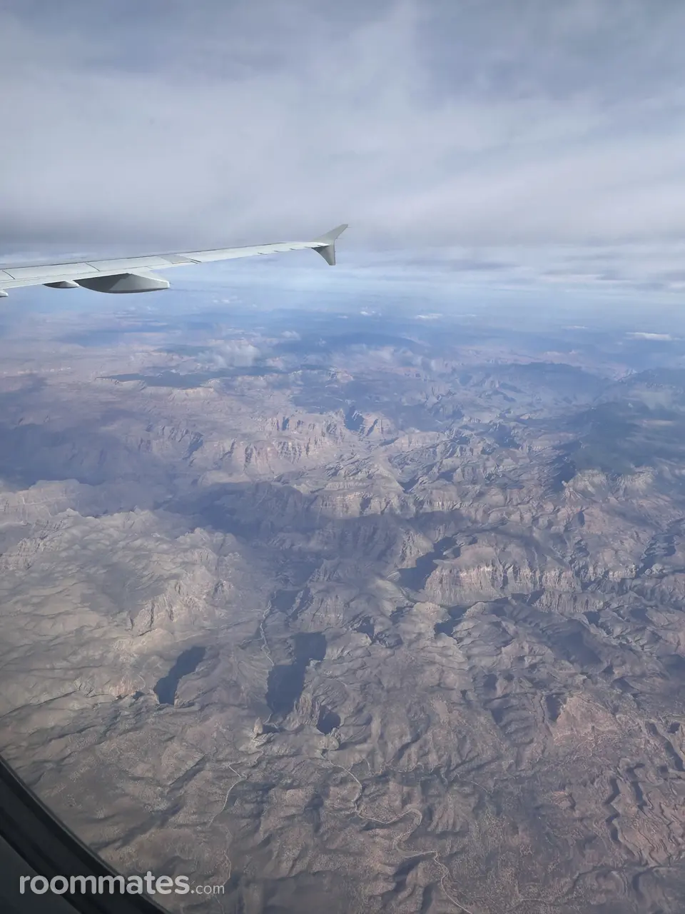 Profile photo 11 of 11