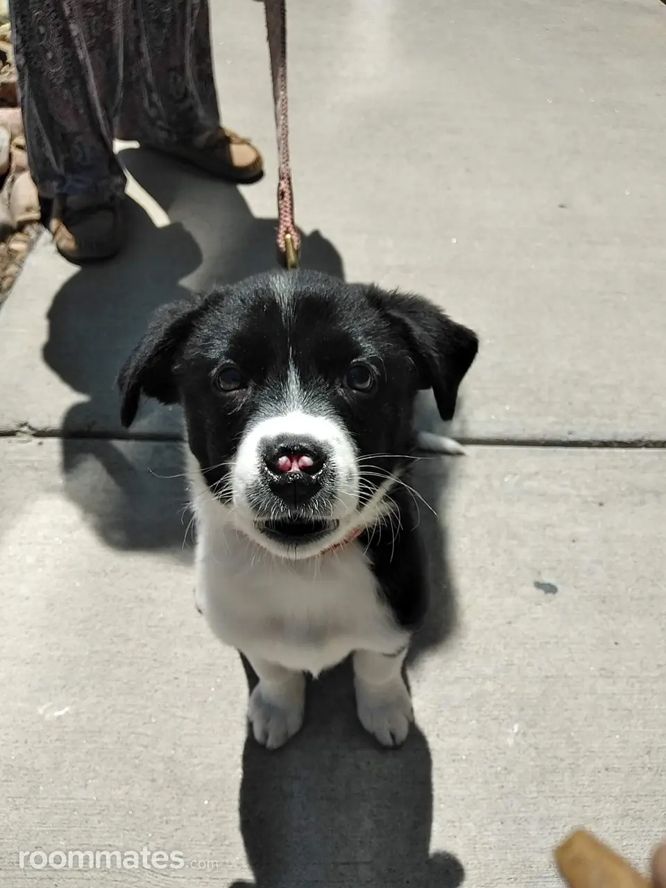 Profile photo 1 of 1