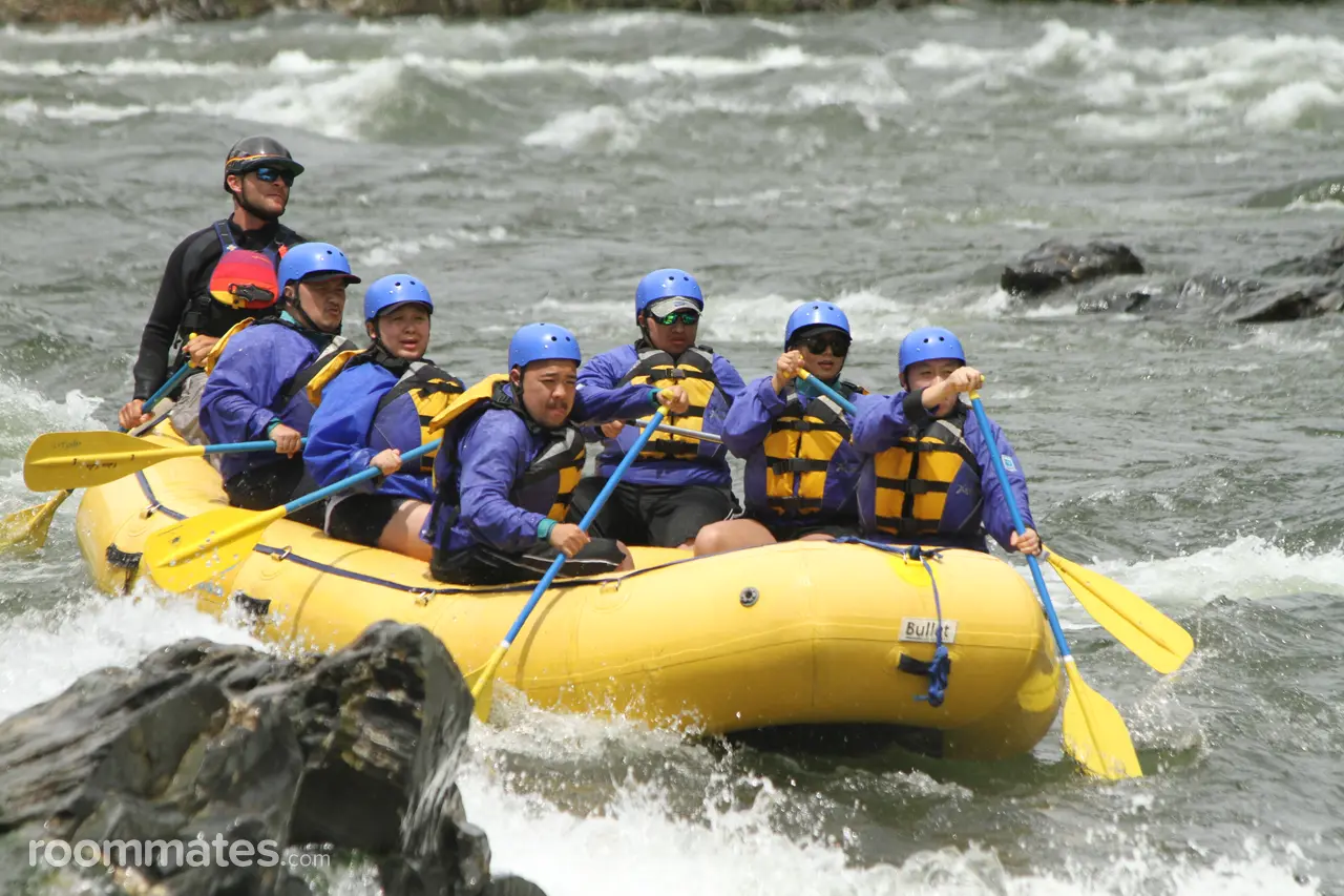 Profile photo 5 of 12