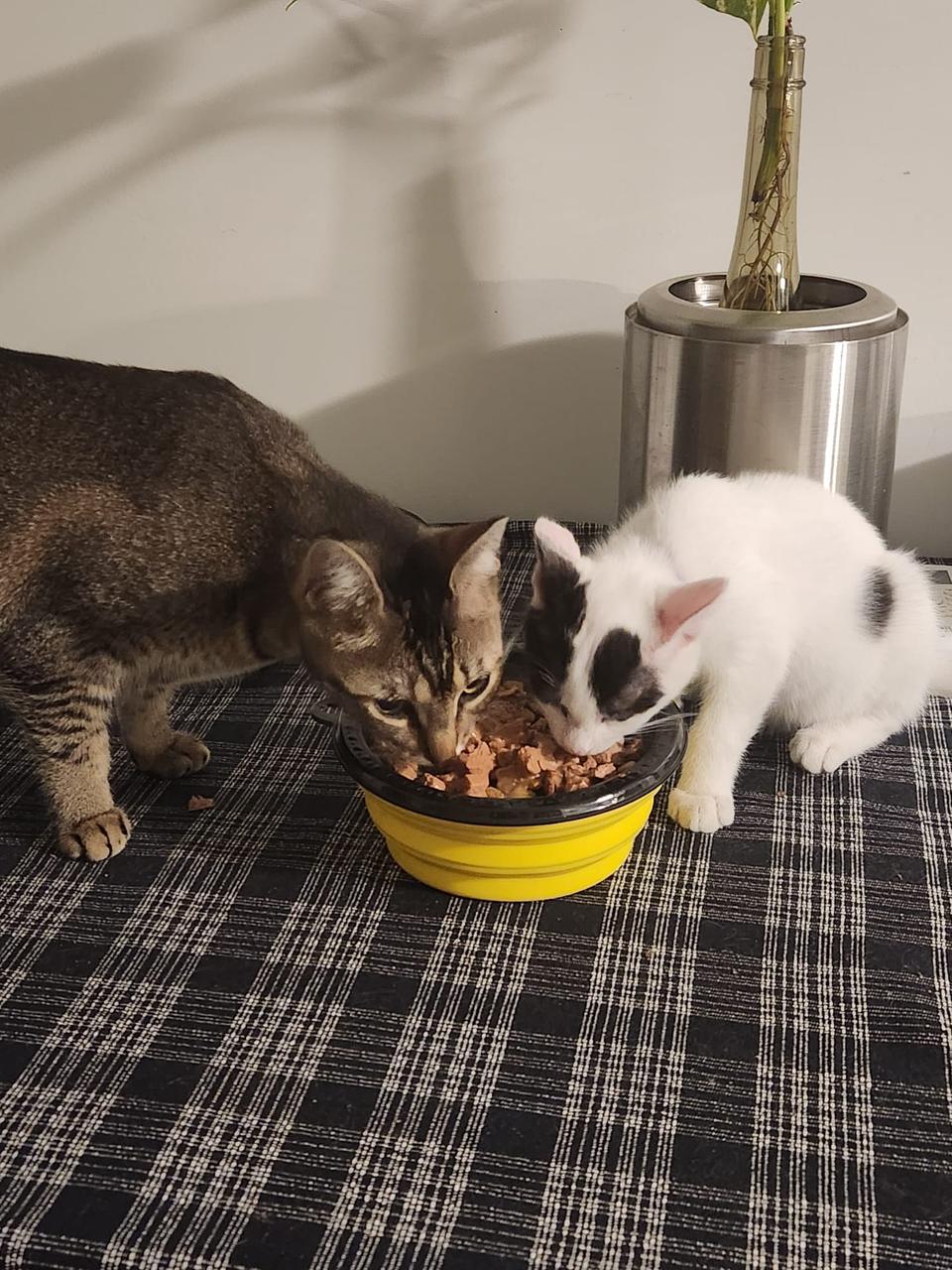 Profile photo 13 of 18