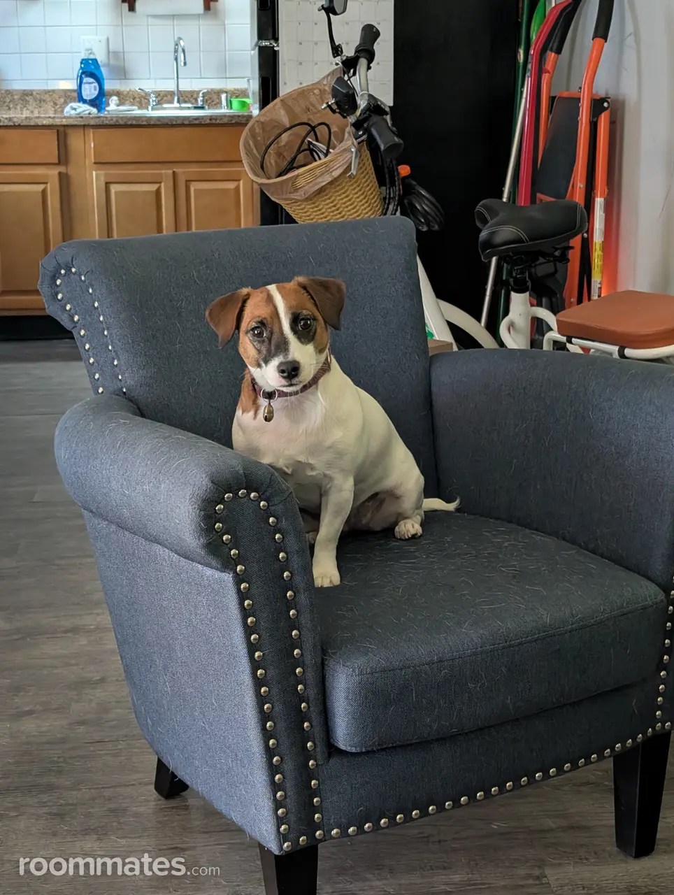 Profile photo 4 of 10