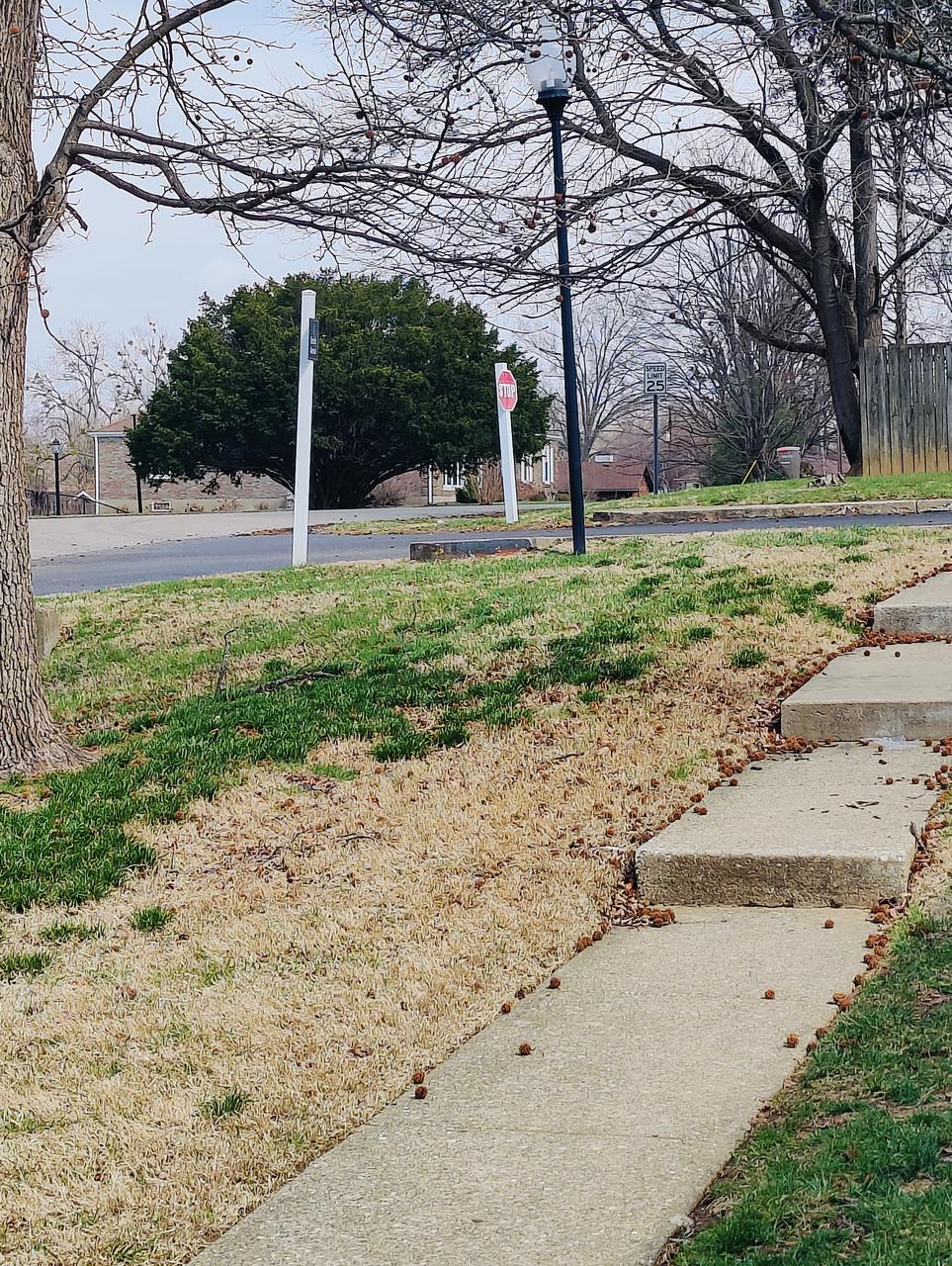 Profile photo 5 of 7