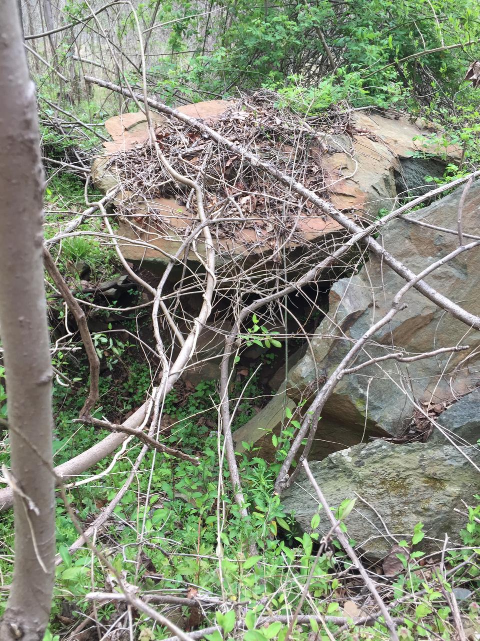 Profile photo 9 of 11