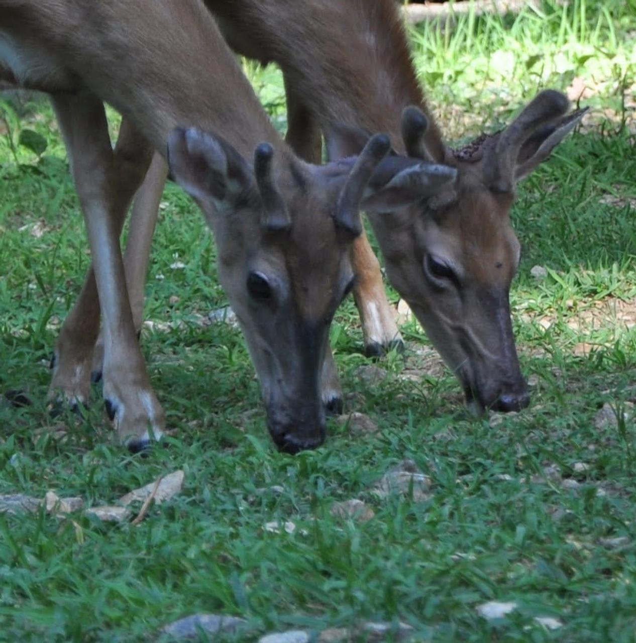 Profile photo 4 of 11