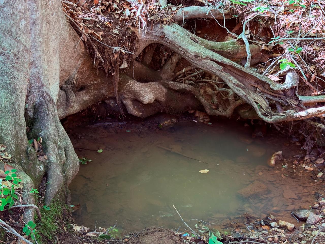 Profile photo 3 of 11