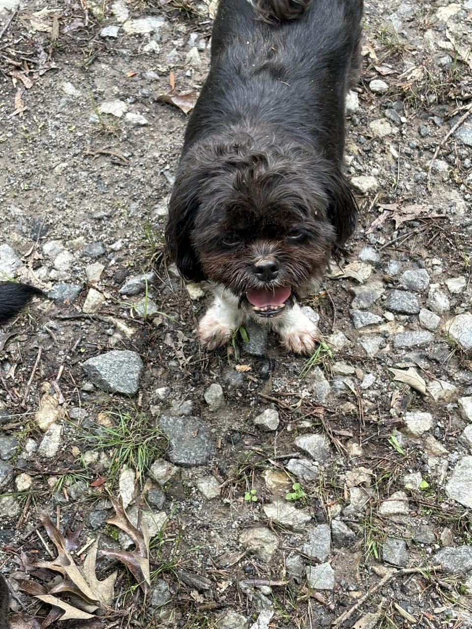 Profile photo 10 of 11