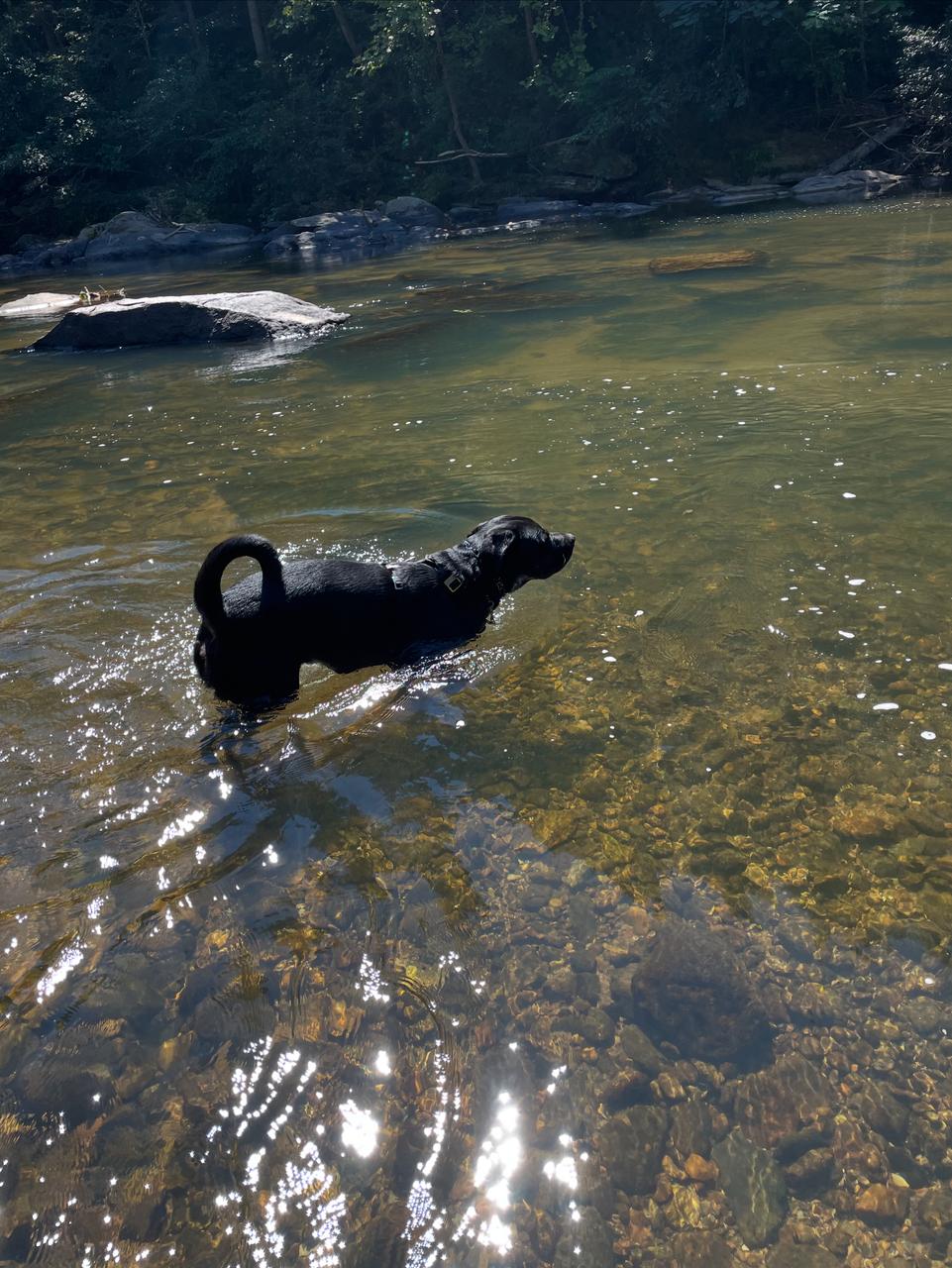 Profile photo 2 of 11