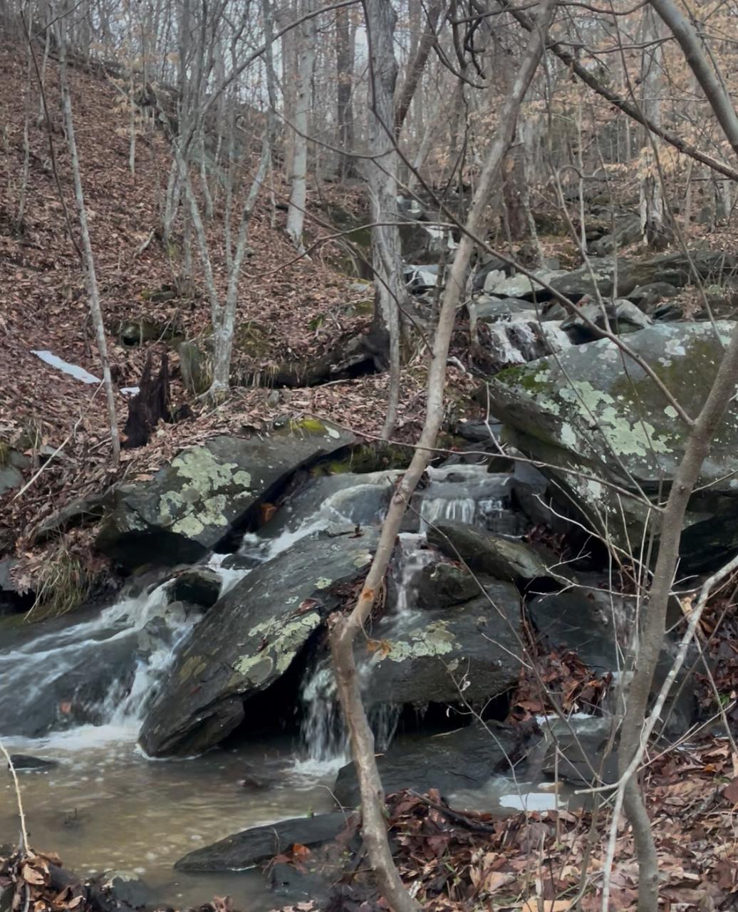 Profile photo 6 of 11