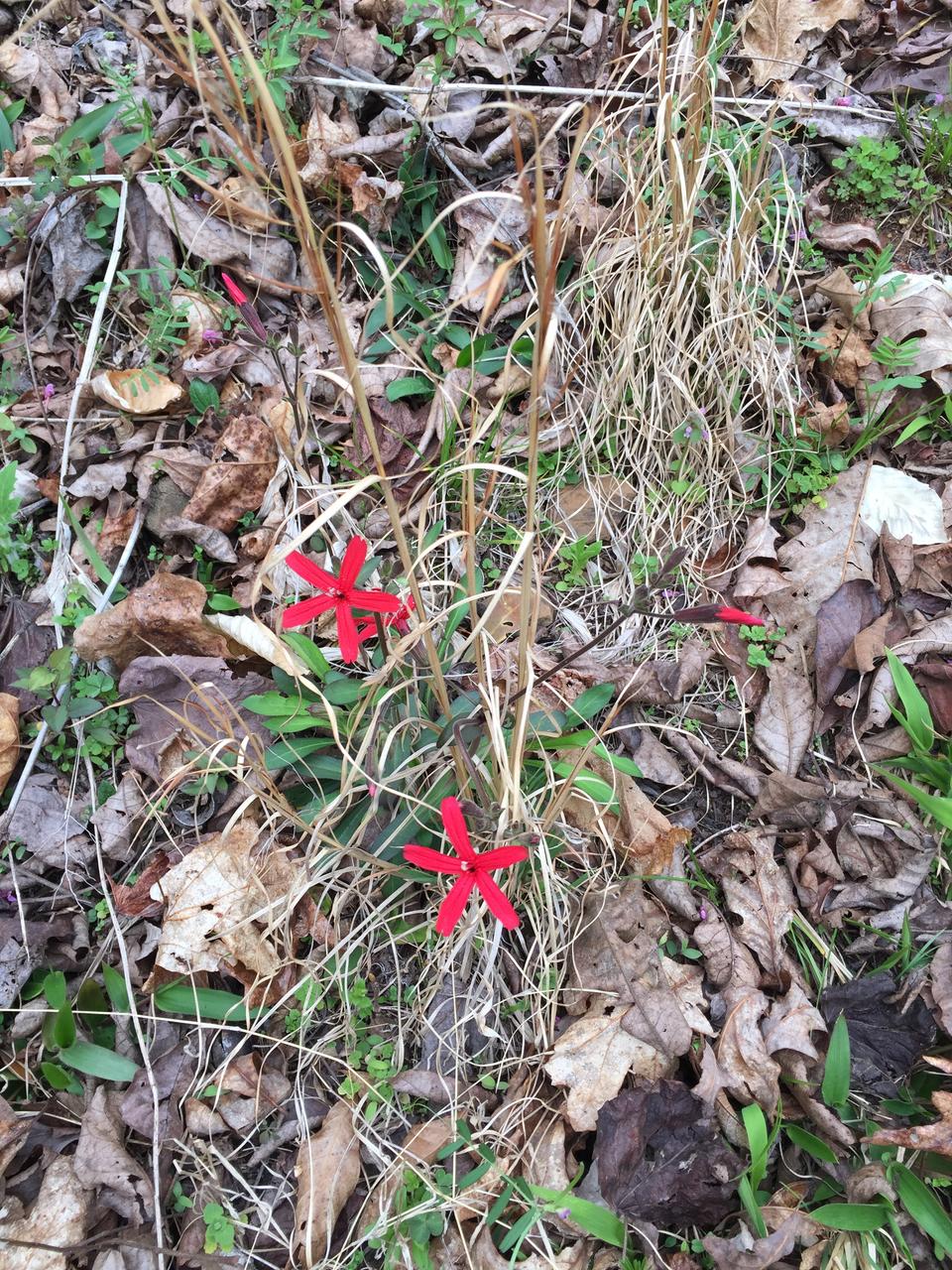 Profile photo 8 of 11