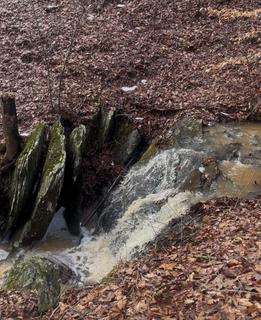 Room for rent in Arrington, VA $600, house