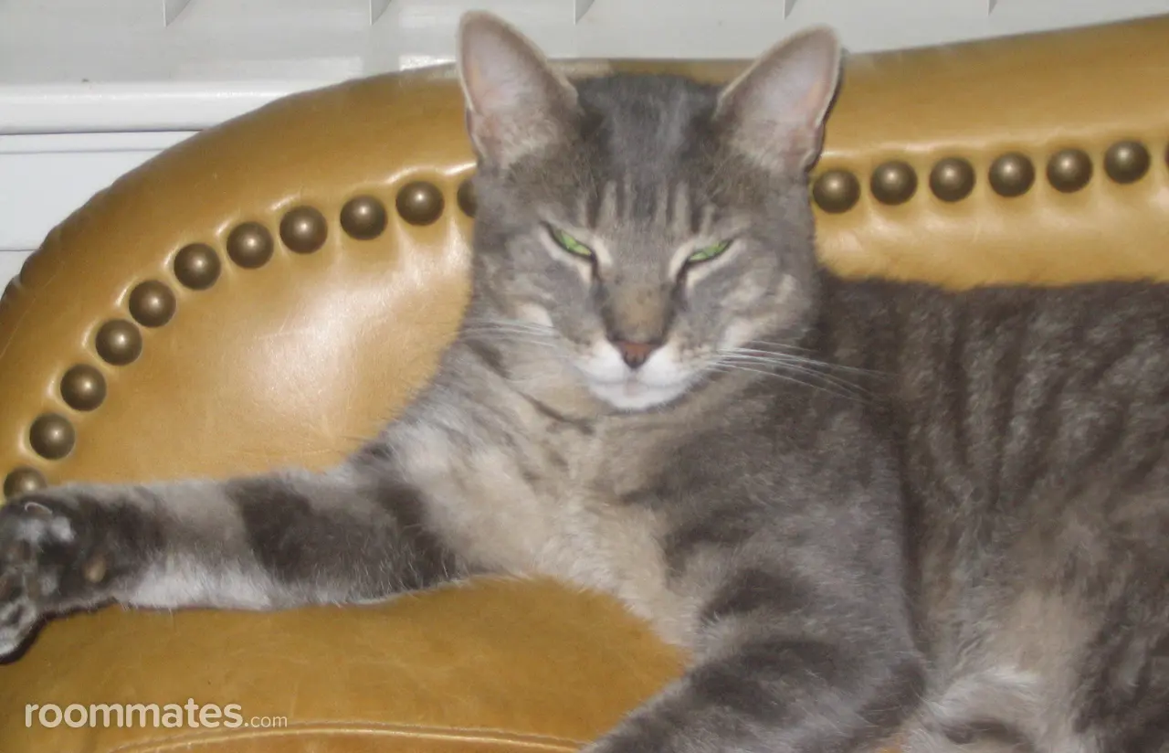 Profile photo 3 of 3