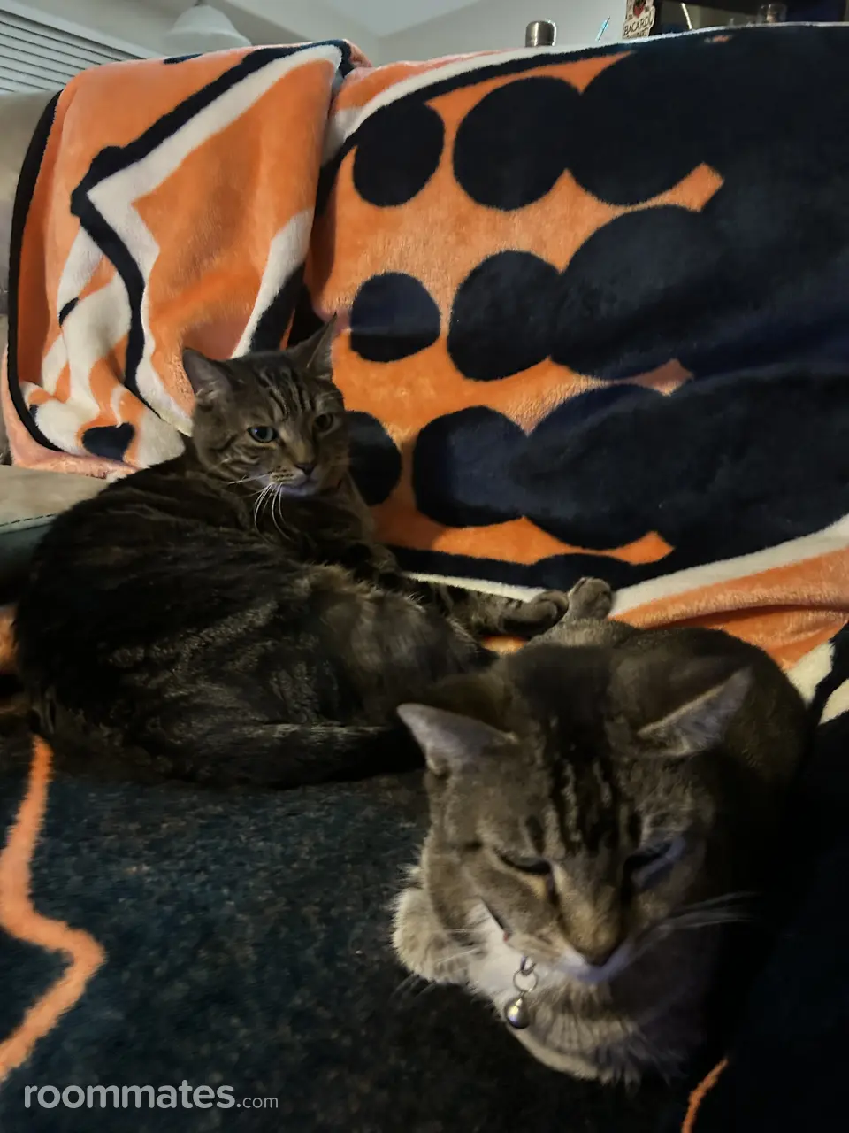 Profile photo 13 of 20