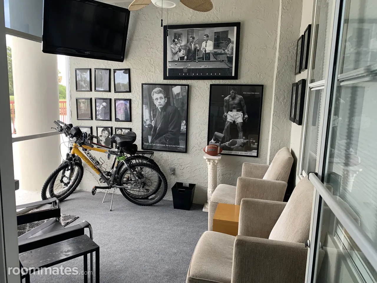 Profile photo 10 of 12