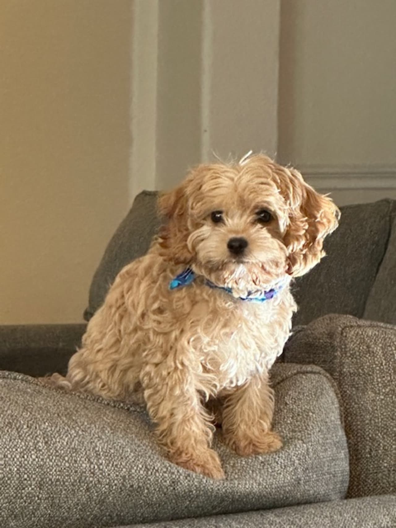 Profile photo 2 of 2