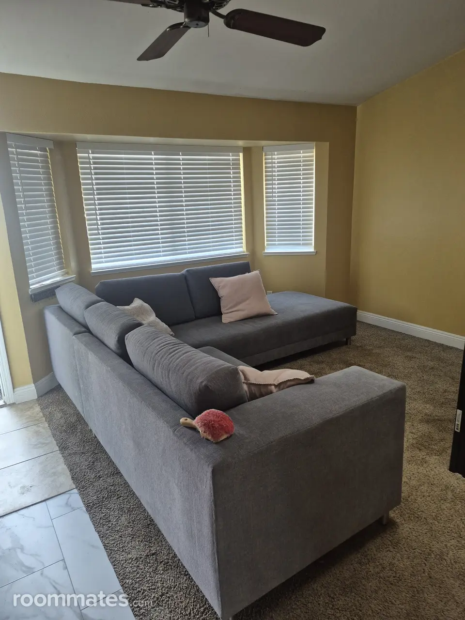 Profile photo 1 of 6