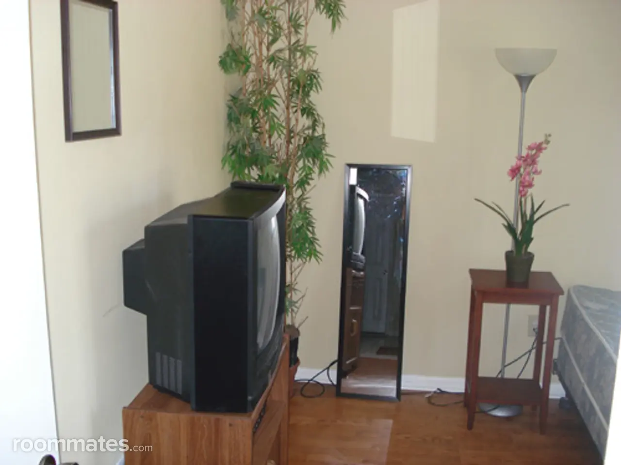 Profile photo 9 of 11