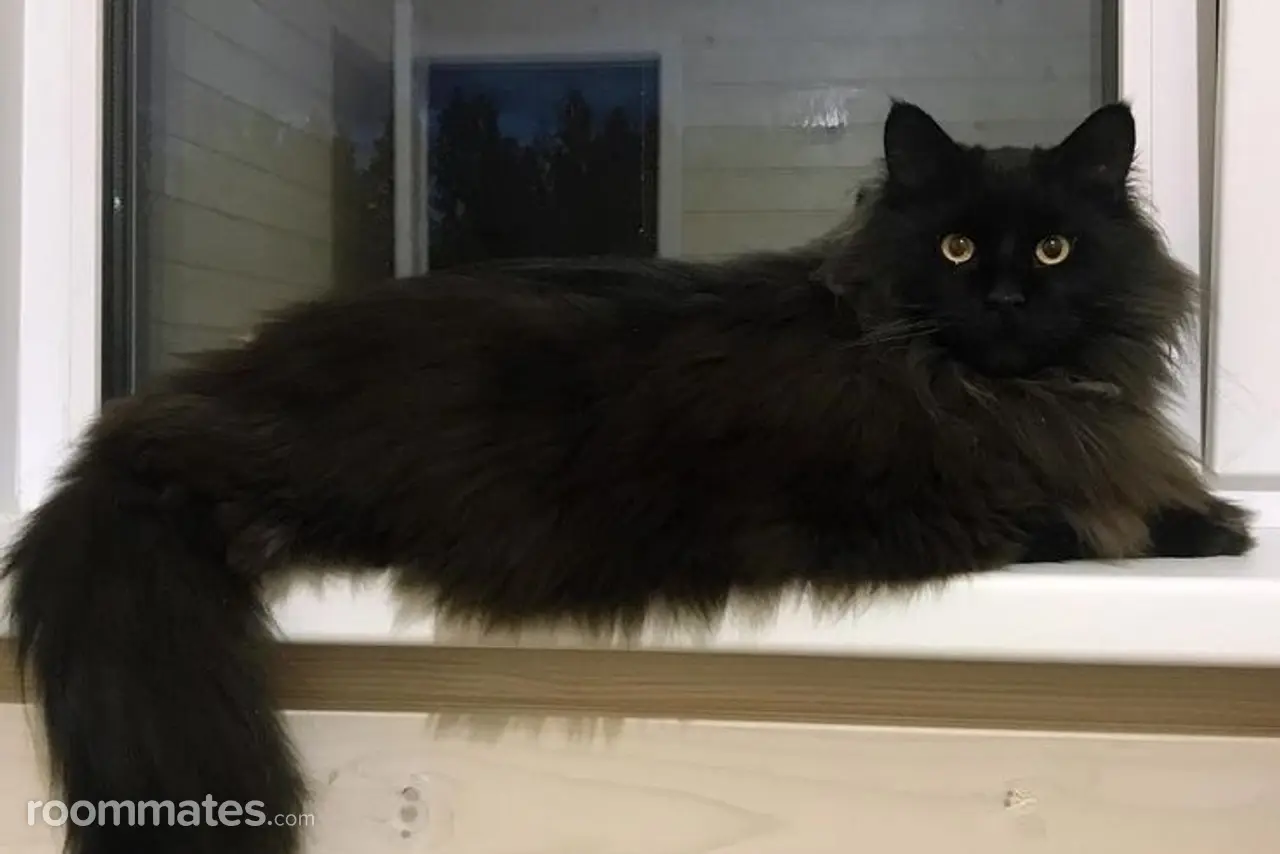 Profile photo 2 of 2