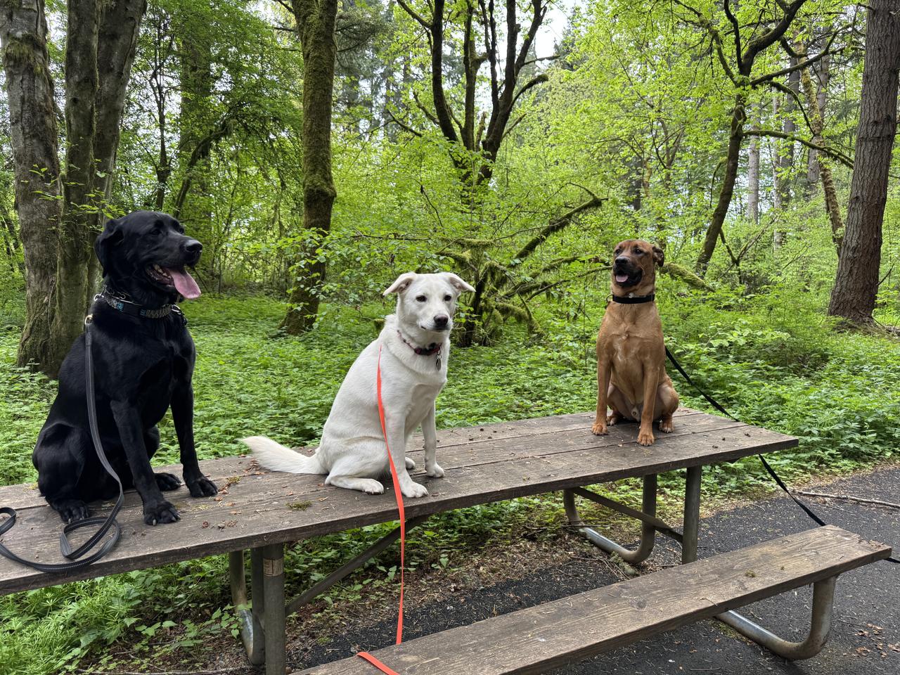 Profile photo 2 of 3