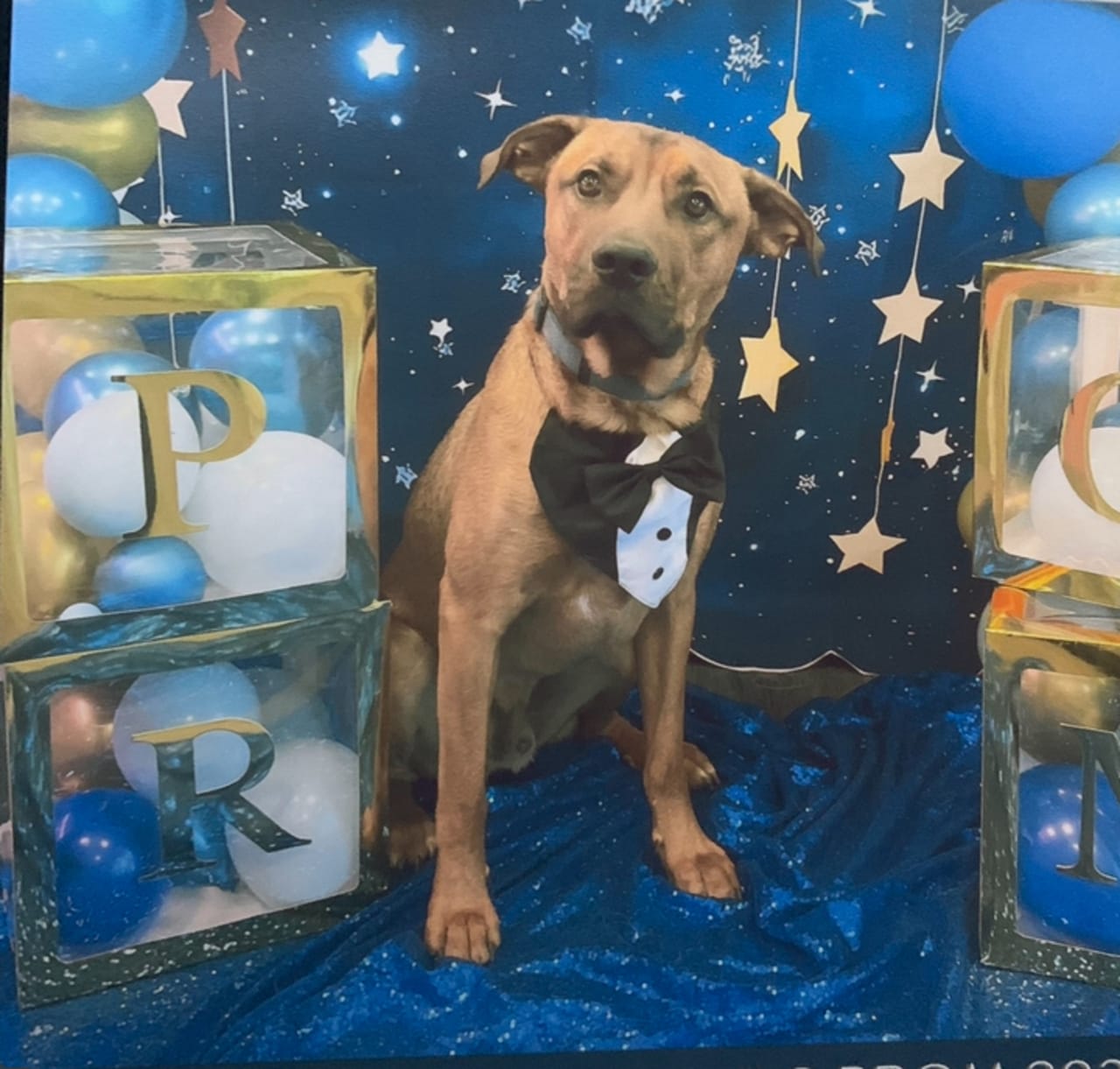 Profile photo 3 of 3