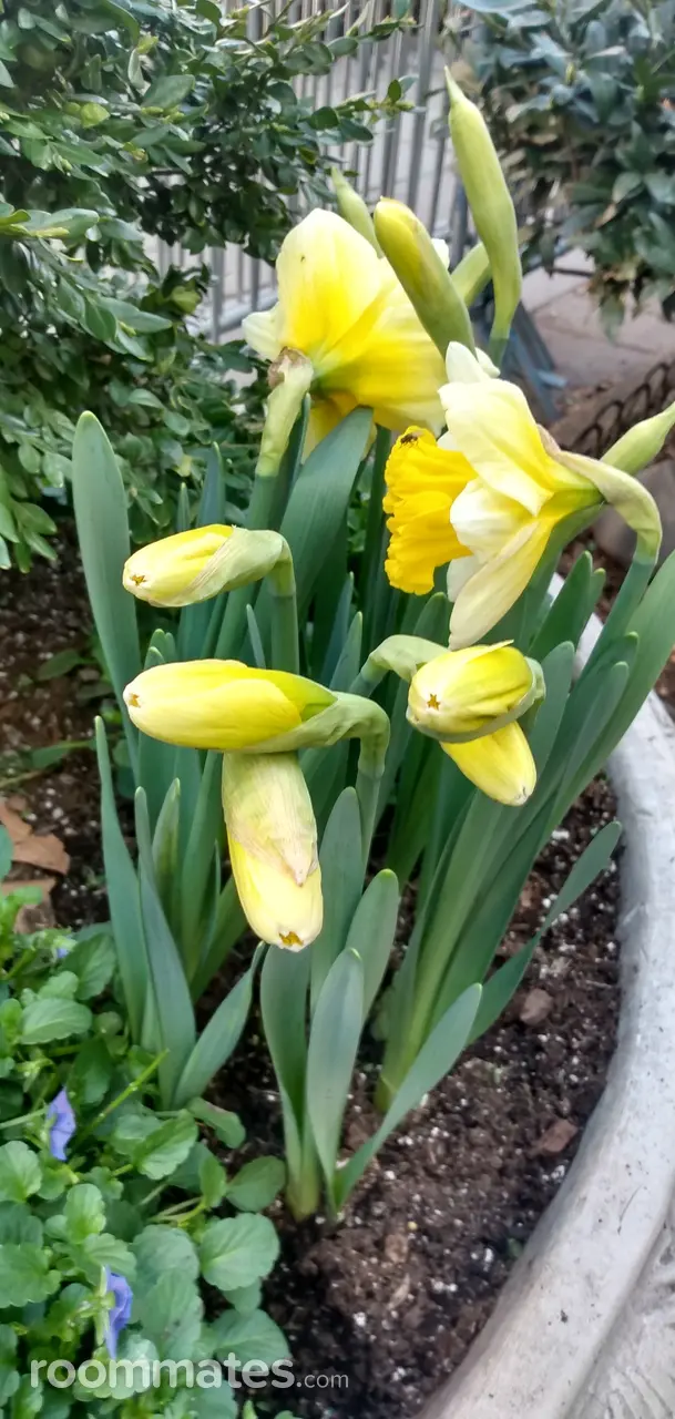 Profile photo 6 of 7