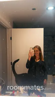 Roommate looking Chicago, IL, $1600