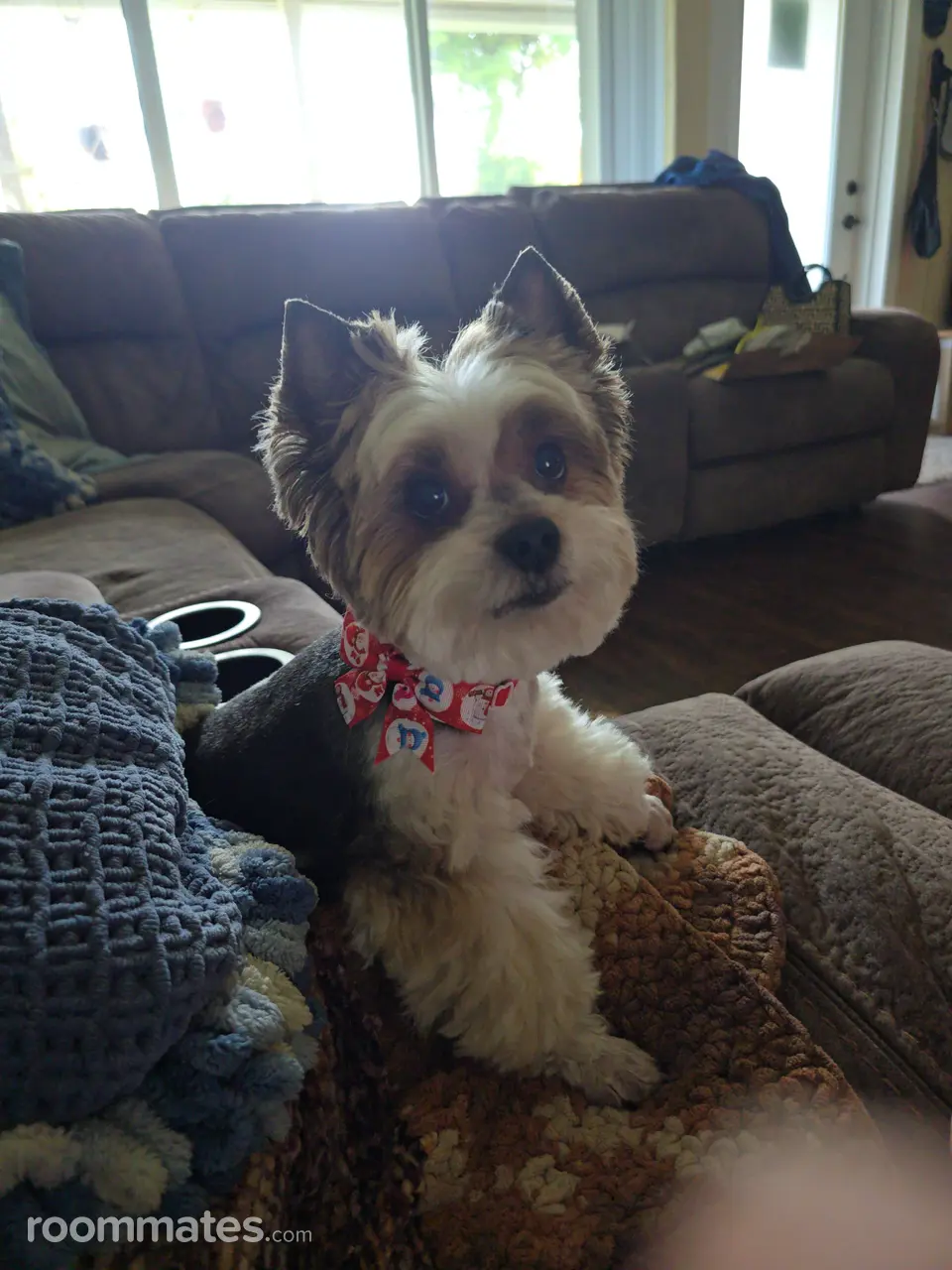 Profile photo 12 of 14