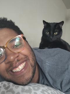 Roommate looking Louisville, CO, $1100