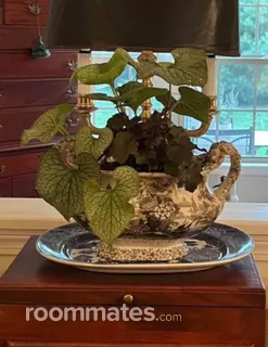 Room for rent in Queensbury, NY $900, townhouse