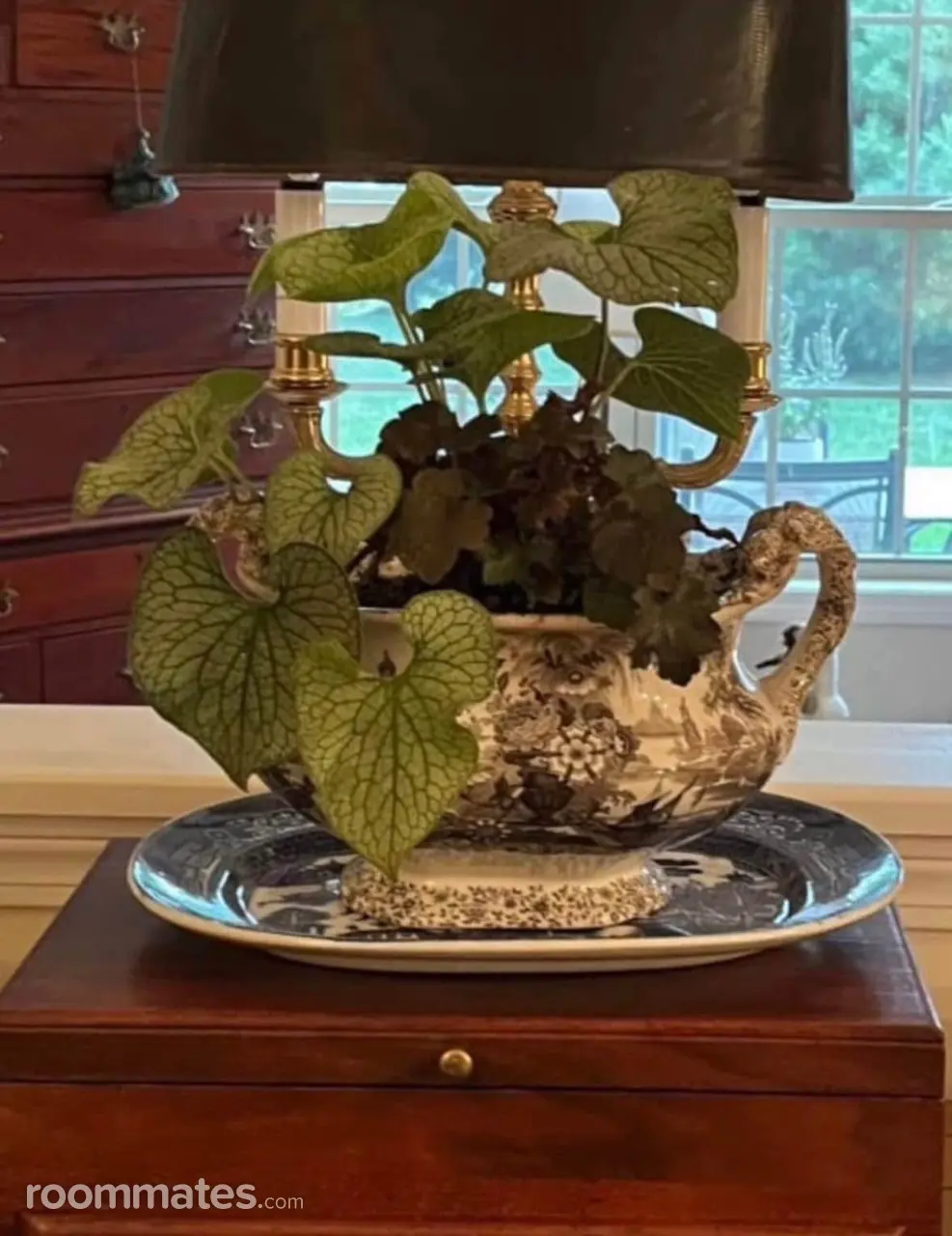 Profile photo 10 of 21