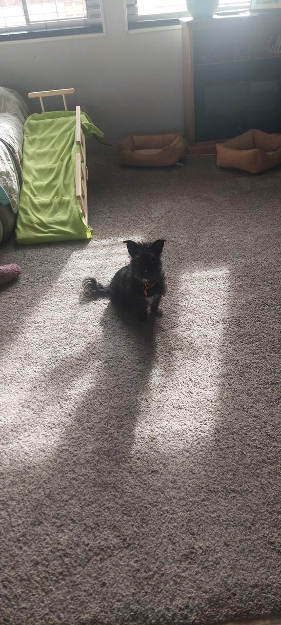 Profile photo 2 of 3