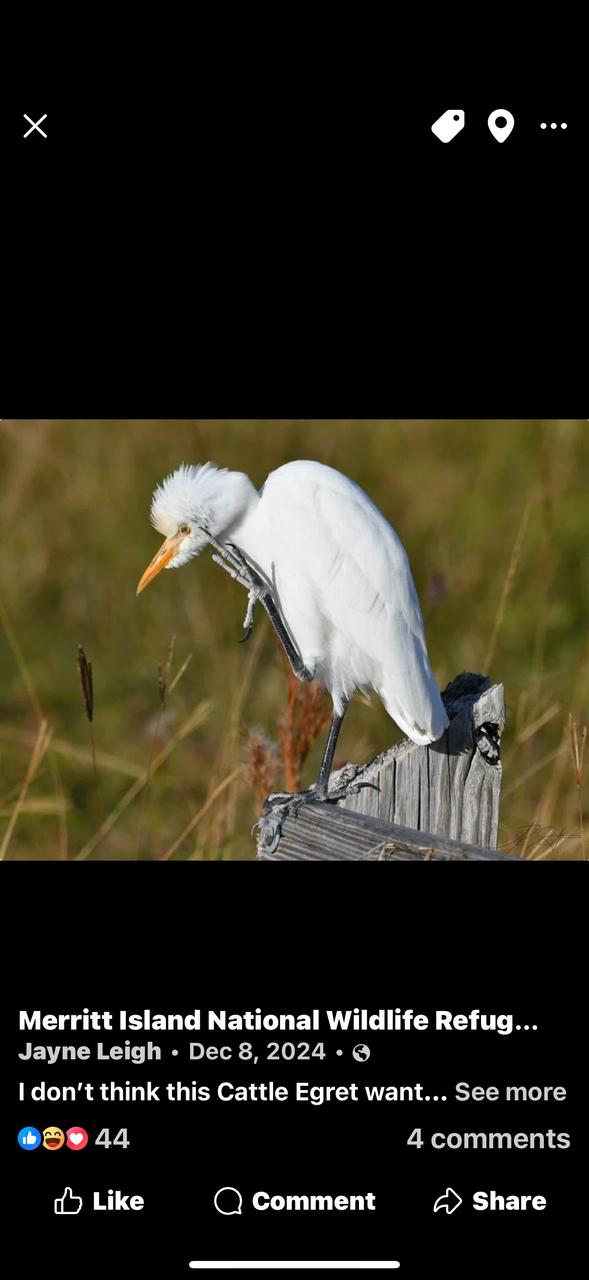 Profile photo 18 of 27