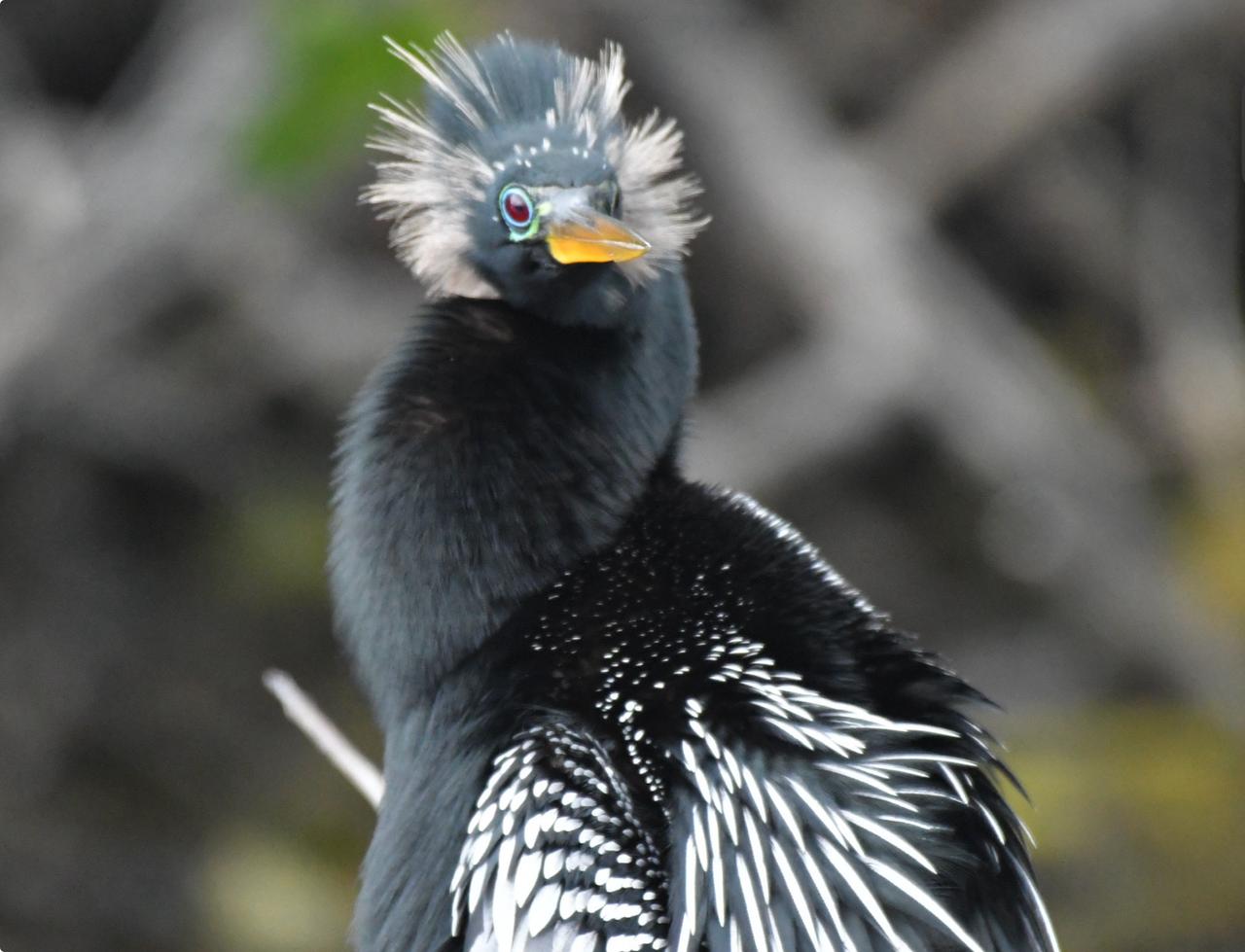 Profile photo 16 of 27