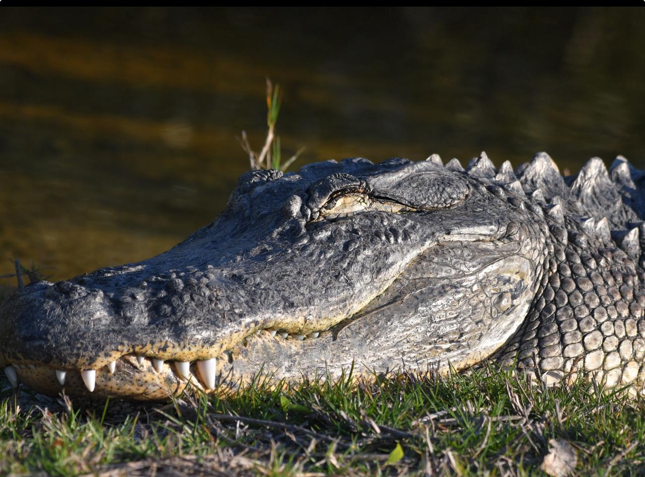 Profile photo 25 of 27