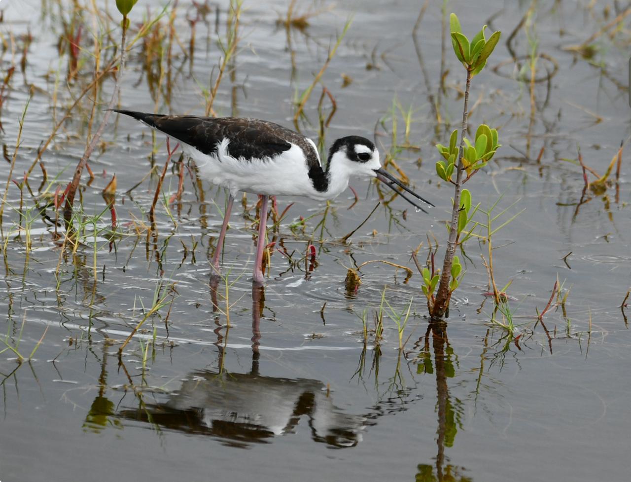 Profile photo 23 of 27