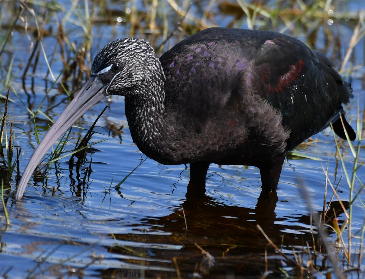 Profile photo 11 of 27