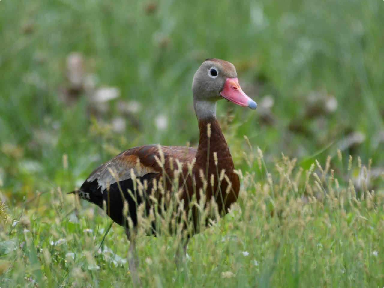 Profile photo 17 of 27