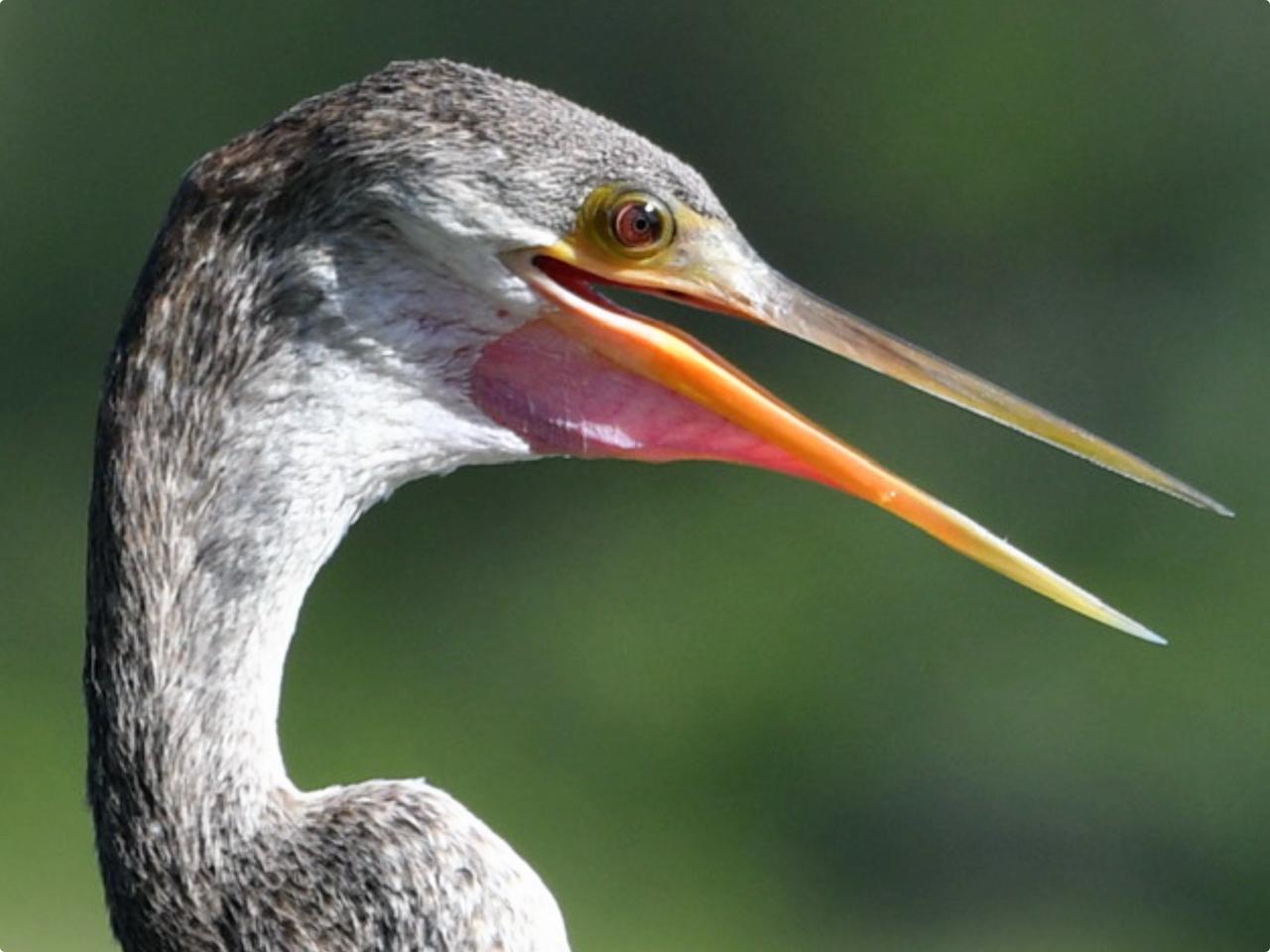 Profile photo 12 of 27