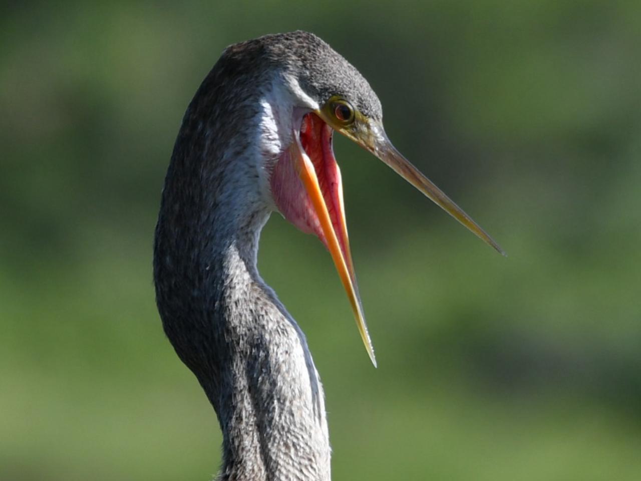 Profile photo 19 of 27