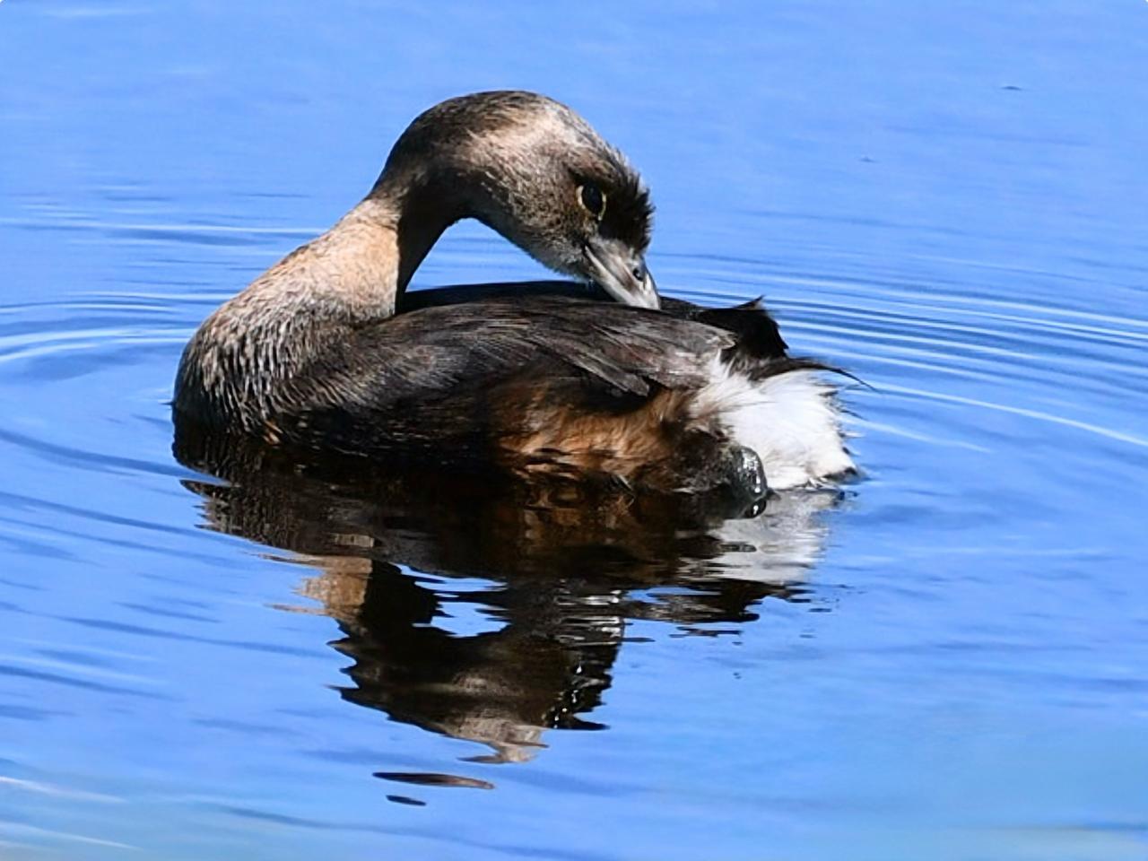 Profile photo 8 of 27