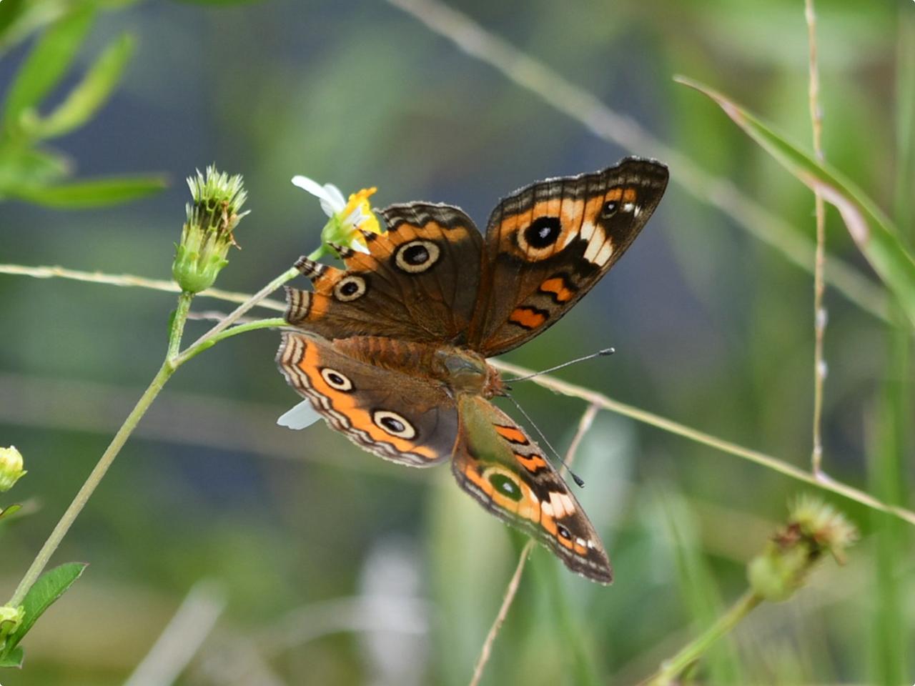 Profile photo 15 of 27