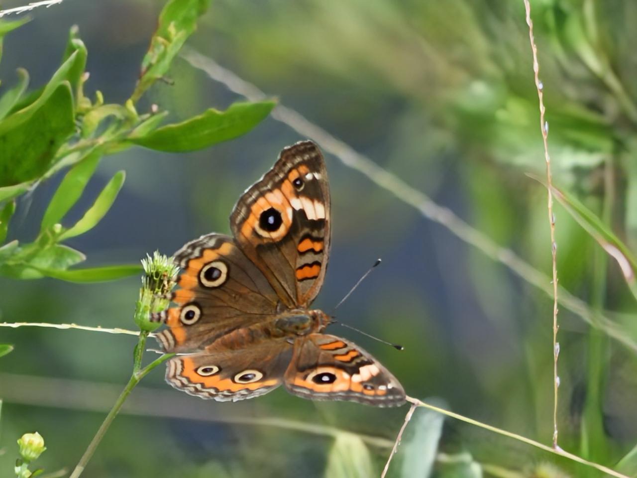 Profile photo 26 of 27