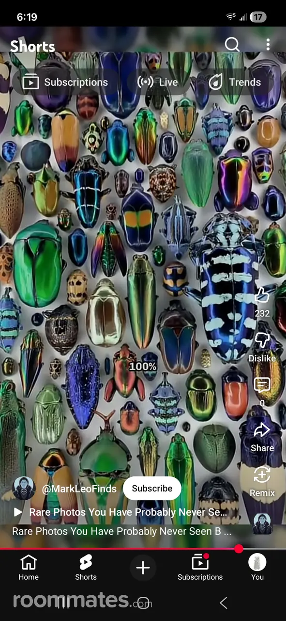 Profile photo 5 of 11