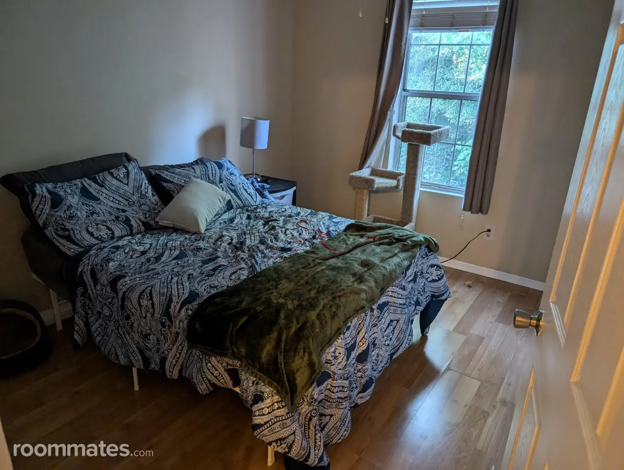 Profile photo 2 of 11