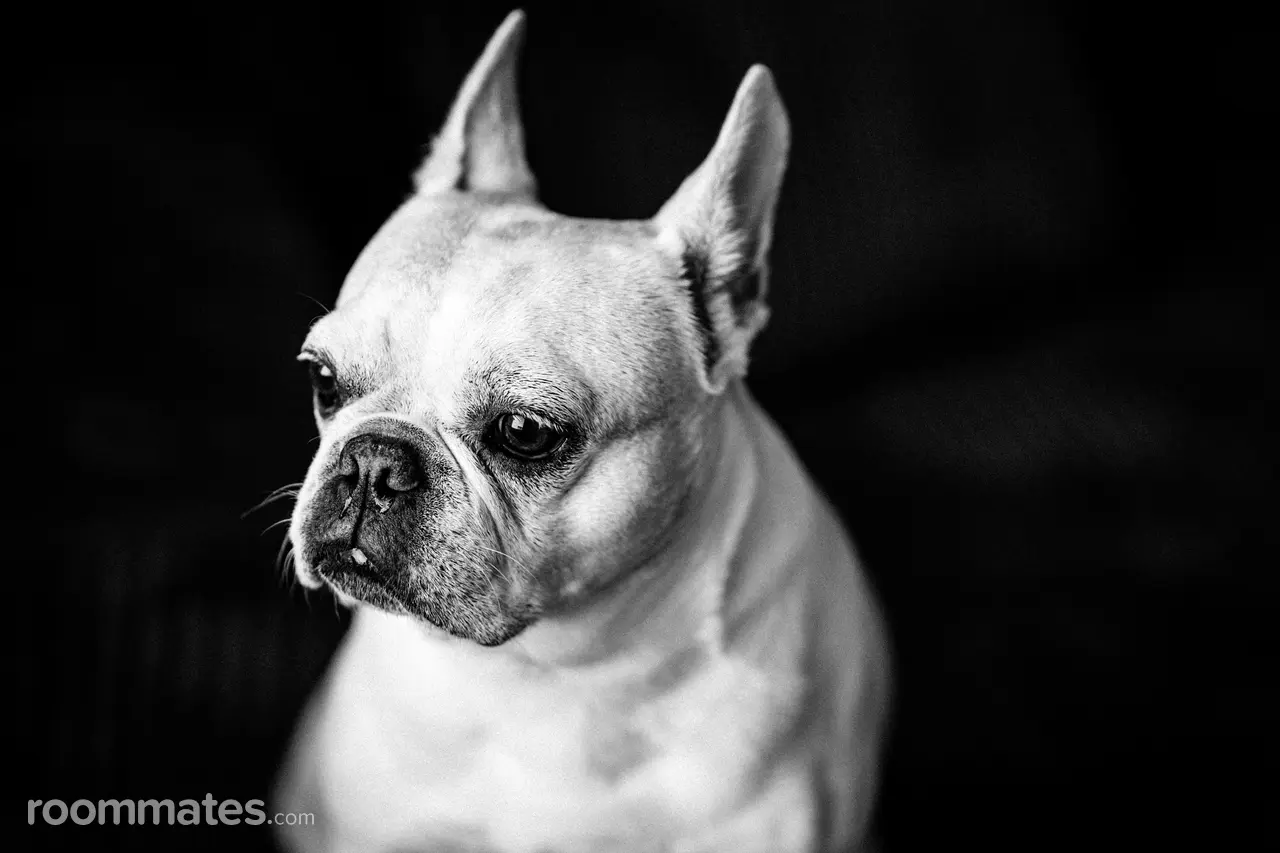 Profile photo 7 of 8