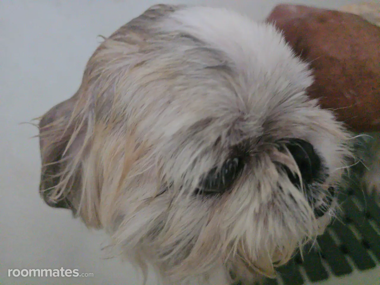 Profile photo 2 of 4