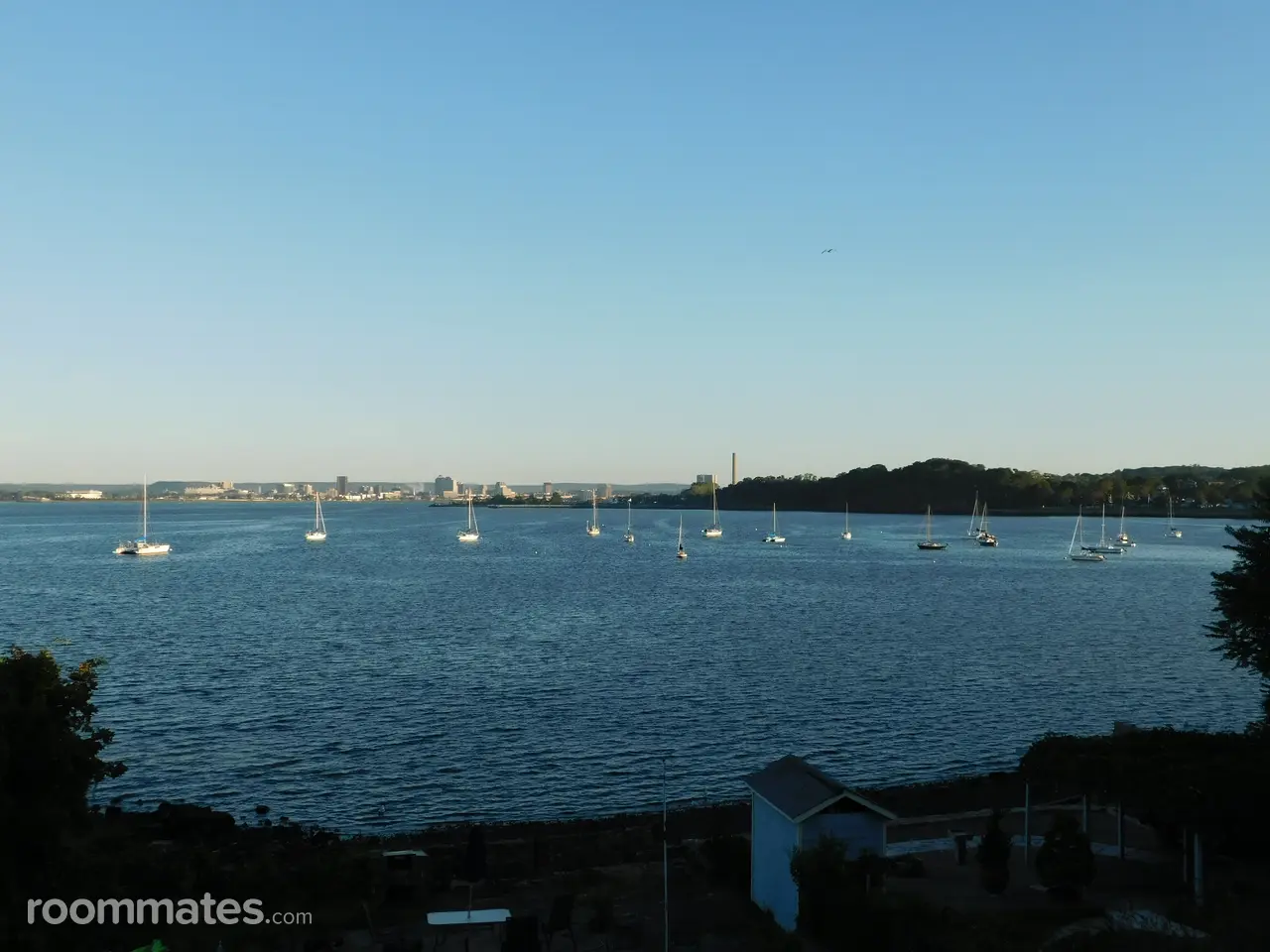 Profile photo 4 of 4