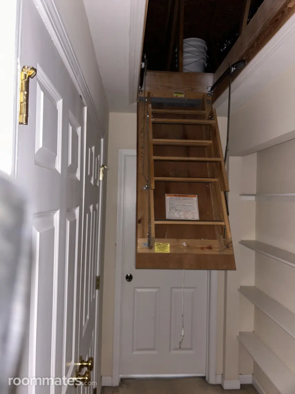 Profile photo 2 of 11